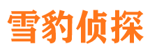 铜川私家调查公司